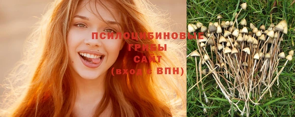 гидропоника Покровск