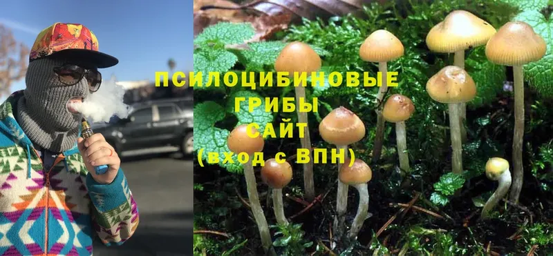 что такое наркотик  Кирс  Галлюциногенные грибы MAGIC MUSHROOMS 